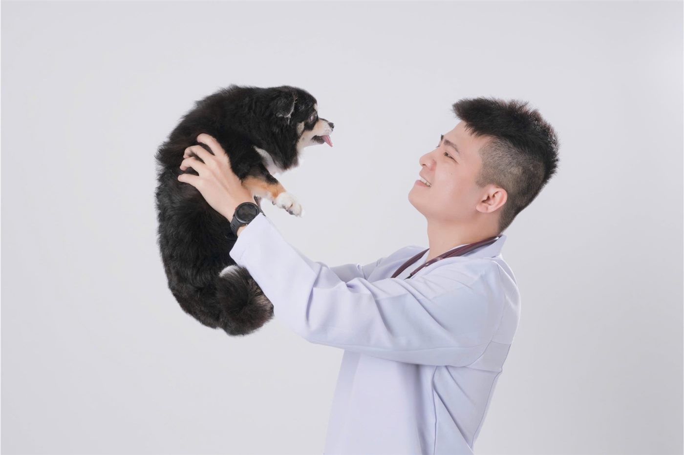 Bác sĩ Tùng chăm sóc chó con tại ACE AMC
