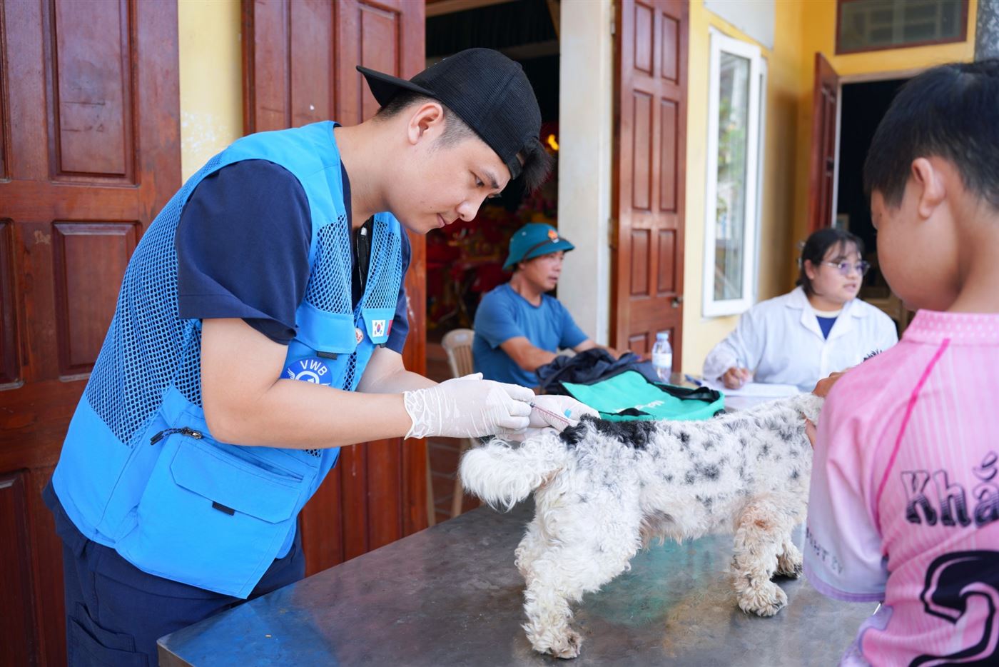 Bác sĩ ACE AMC tiêm phòng dại cho chó tại Ninh Bình